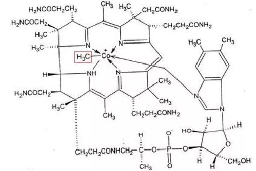 維生素 B12 和甲鈷胺,是同一藥物嗎