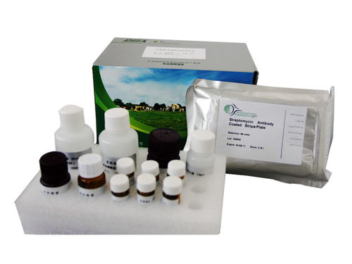 大鼠凋亡相關因子配體 fasl elisa試劑盒