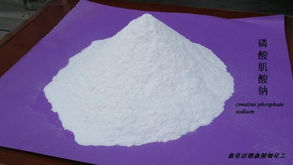 山東曲阜邁德森供應(yīng)優(yōu)質(zhì)廉價磷酸肌酸鈉 供應(yīng)信息 藥用原輔料網(wǎng) 制藥原料,制藥輔料,藥用輔料,原料藥,制藥中間體,植物提取物,動物提取物,制藥設(shè)備,制藥包裝,制藥產(chǎn)品信息查詢,薄膜包衣,聚丙烯酸樹脂,藥用氧化鐵,藥用乳糖,羥丙基甲基纖維素,原料藥供應(yīng)